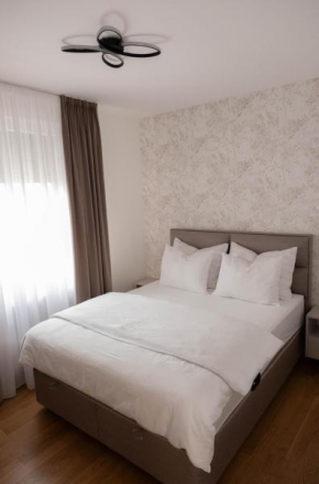 Comfort Zone Apartment